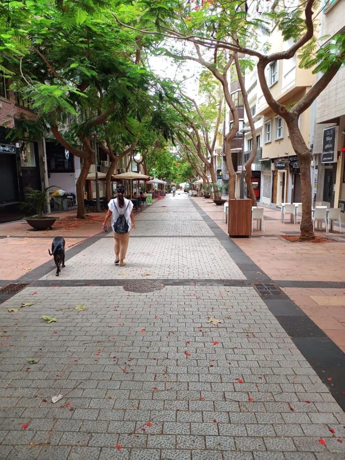 Center Cruz, Centrico Con Gran Terraza, Cocina , Salon Y Banos, Todo Privado Santa Cruz de Tenerife